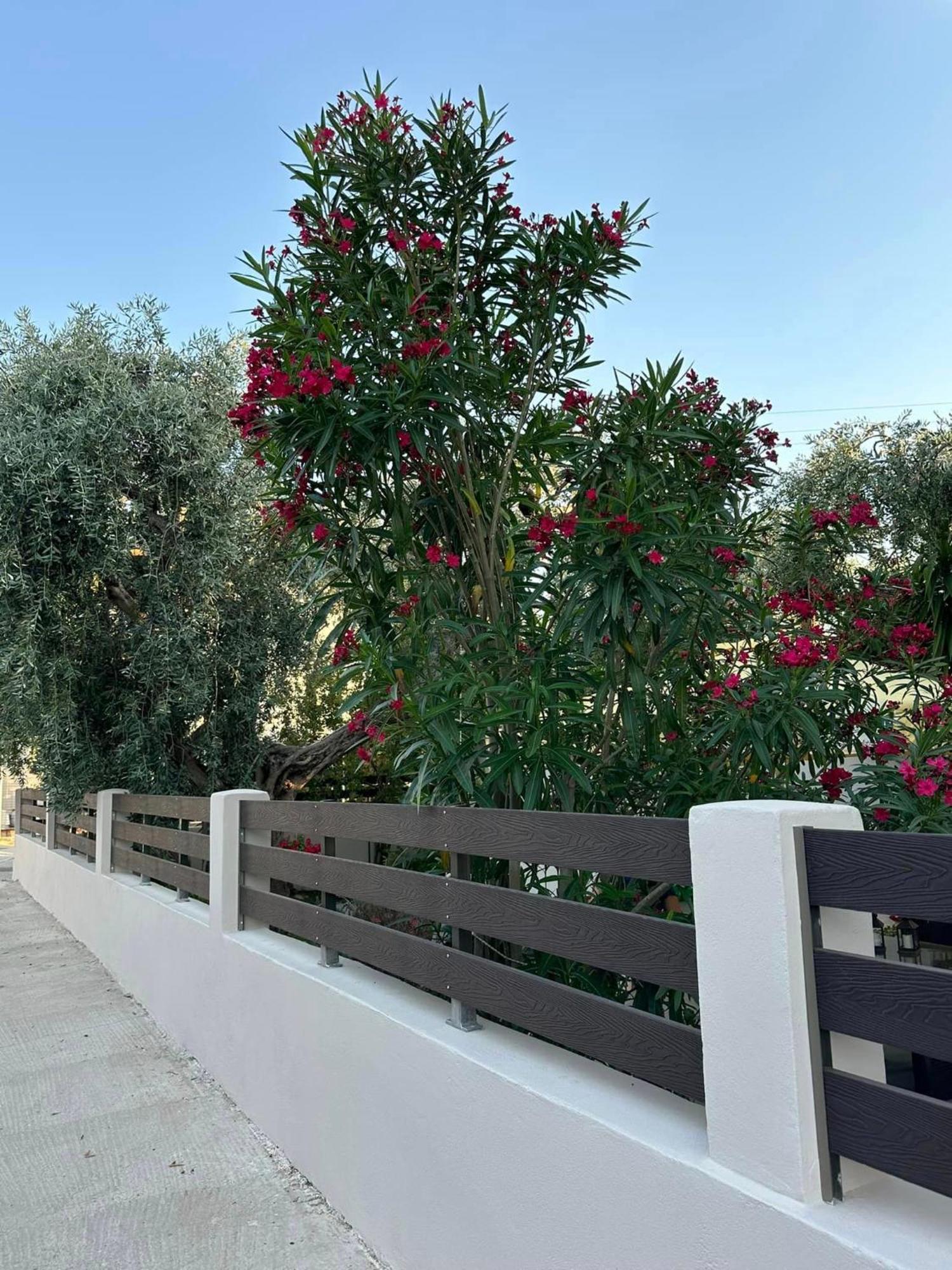 Апартаменты Valia House Thassos Скала-Каллирахис Экстерьер фото